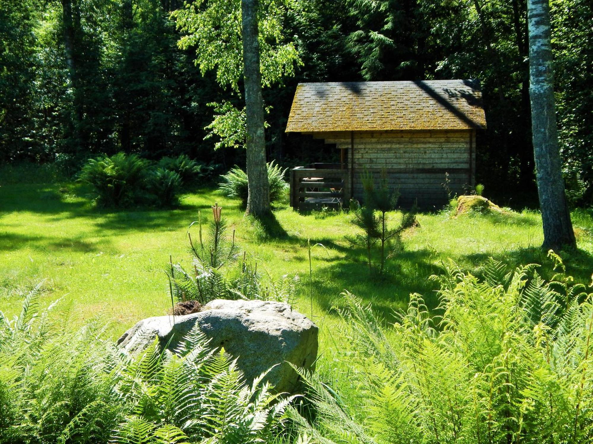 Haaviku Nature Lodge Sagadi Szoba fotó
