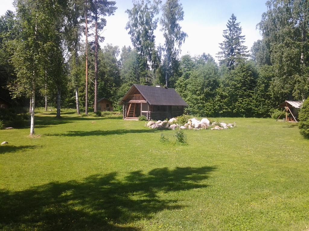 Haaviku Nature Lodge Sagadi Kültér fotó
